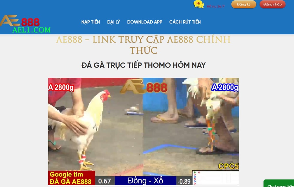 Giao diện Chính của Ael1.com
